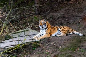 comp_DSC00927.jpg comp_DSC00927.jpg