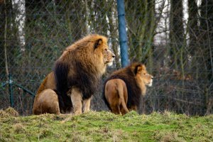 comp_DSC00952.jpg comp_DSC00952.jpg