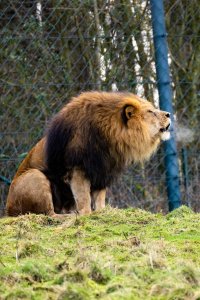 comp_DSC00955.jpg comp_DSC00955.jpg