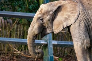 comp_DSC00984.jpg comp_DSC00984.jpg