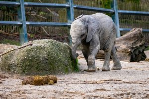 comp_DSC00987.jpg comp_DSC00987.jpg