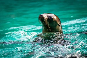 comp_DSC01001.jpg comp_DSC01001.jpg