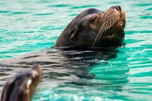 comp_DSC01010.jpg comp_DSC01010.jpg