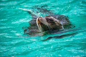 comp_DSC01026.jpg comp_DSC01026.jpg