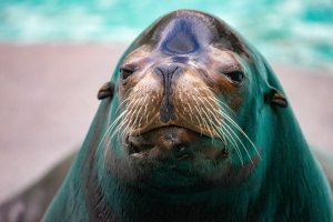 comp_DSC01042.jpg comp_DSC01042.jpg