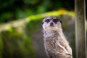 comp_DSC01075.jpg comp_DSC01075.jpg