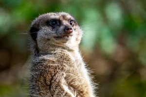 comp_DSC01085.jpg comp_DSC01085.jpg