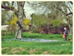 Frühling 1 (2)1.jpg