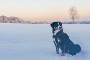 fürs Fotoforum-2.jpg