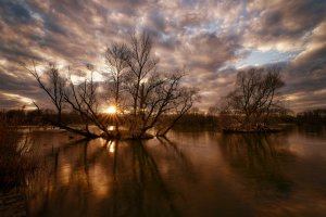 Ottenheim Altrhein.jpg