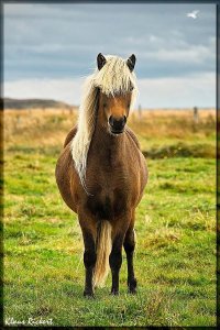 d407ac6e0e3d4c268fcf3b33e1f196a9.jpg d407ac6e0e3d4c268fcf3b33e1f196a9.jpg