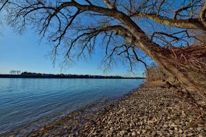 _DSC5529.jpg _DSC5529.jpg