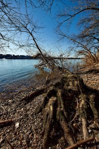 _DSC5546.jpg _DSC5546.jpg