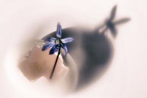 für Fotoforum-2.jpg