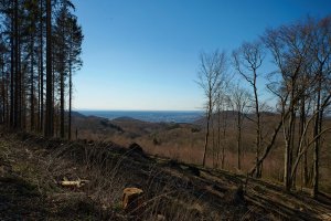 DSC01044.jpg DSC01044.jpg