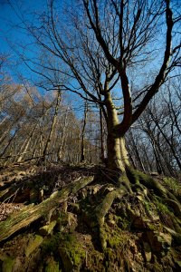 DSC01048.jpg DSC01048.jpg