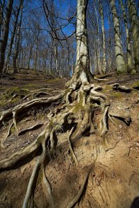 DSC01057.jpg DSC01057.jpg