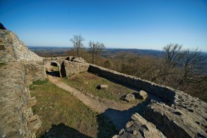 DSC01098.jpg DSC01098.jpg