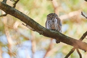 WebQ82_DSC_3573_ISO1600_1-500 s.jpg