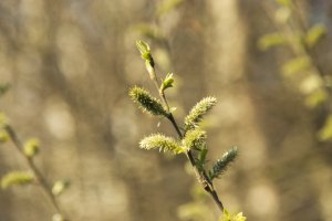 IMG_0184.jpg IMG_0184.jpg