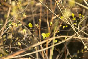 IMG_0185.jpg IMG_0185.jpg