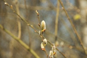 IMG_0186.jpg IMG_0186.jpg