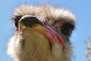 05.12. 700d (11).JPG