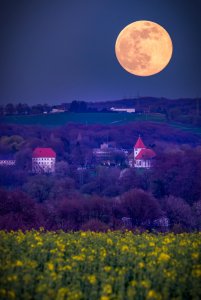 comp_DSC01197.jpg comp_DSC01197.jpg