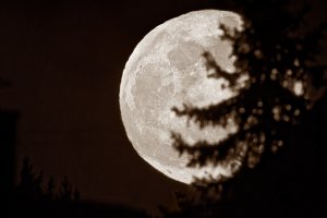 1_supermond.jpg 1_supermond.jpg