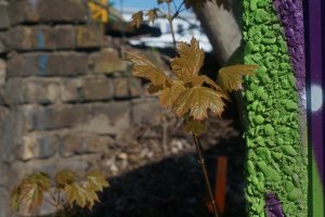 DSC02719.JPG DSC02719.JPG