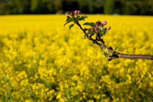 Für Fotoforum-1.jpg