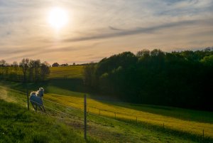 Für Fotoforum-3.jpg