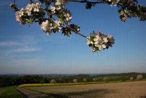 Für Fotoforum-5.jpg