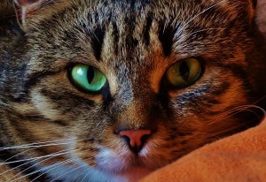 DSC07467 - Kopie.JPG