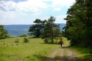 XP2D9052.jpg XP2D9052.jpg