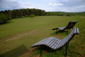 XP2D9090.jpg XP2D9090.jpg