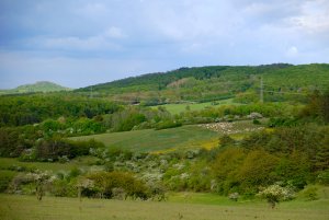 XP2D9091.jpg XP2D9091.jpg