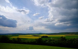 XP2D9124.jpg XP2D9124.jpg