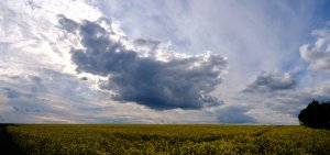 XP2D9131_stitch.jpg XP2D9131_stitch.jpg