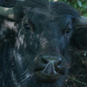 IMGP8209.jpg IMGP8209.jpg