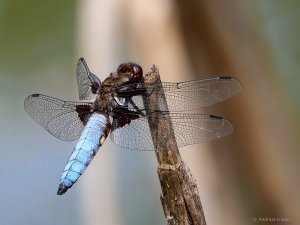 2020-06-04 20-55-50 (B,Radius8,Smoothing4)-1.jpg