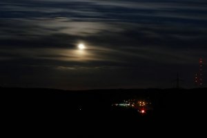 fb DSC04349 Nex5r + Pancolar Zebra 1,8 50mm_DxOpsf_filtered (c) PPf.jpg