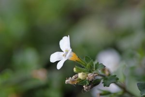 SDQ_2126_.jpg SDQ_2126_.jpg