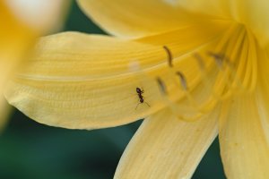 SDQ_2146_.jpg SDQ_2146_.jpg