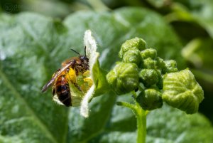 comp_IMG_4996.jpg comp_IMG_4996.jpg