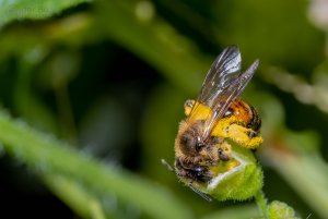 comp_IMG_4999.jpg comp_IMG_4999.jpg