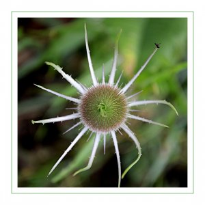 rr2_Ra.jpg rr2_Ra.jpg