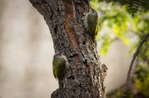 _MG_3844.jpg _MG_3844.jpg