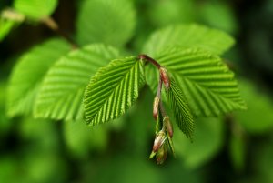 SAM_0045.JPG SAM_0045.JPG