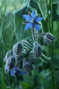 SAM_0418.JPG SAM_0418.JPG